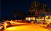 Sea Turtle Lights Near Beach Area