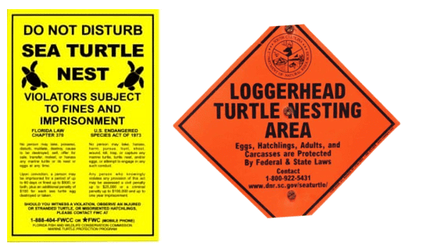 Sea Turtle Signage 1